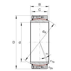 大的關(guān)節(jié)軸承 GE560-DW-2RS2, 根據(jù) DIN ISO 12 240-1 標(biāo)準(zhǔn), 免維護(hù)，兩側(cè)密封